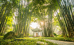 Chengdu