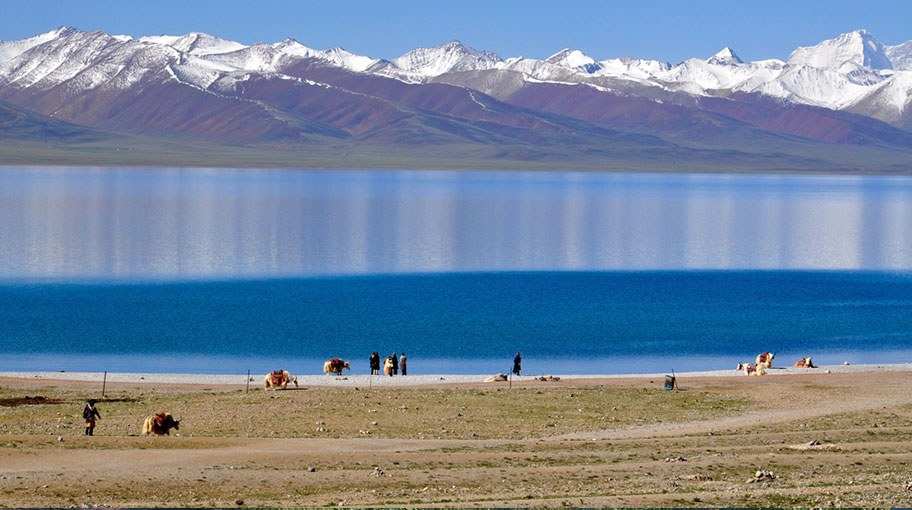 Yak Trekkings durch Tibet
