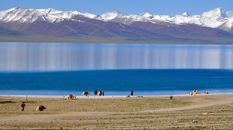 Tibet Trekkings - Atemberaubende Natur Yak Trekkings durch Tibet