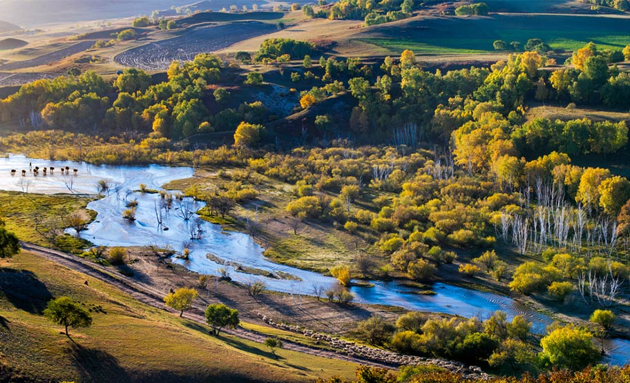 Mongolei Trekking Fluss Gras Kühe Fluss Bashang Graslandschaft Mongolei