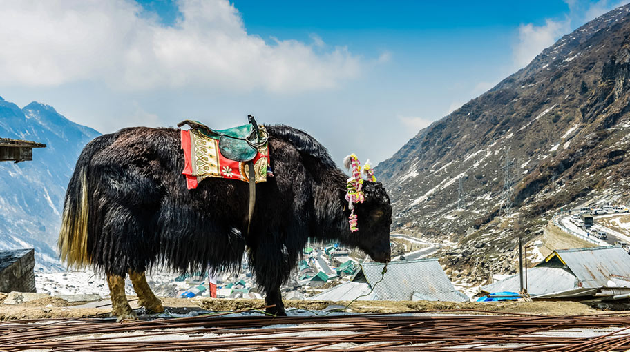 Tibet Trekking-Touren Trekkingtouren in Tibet