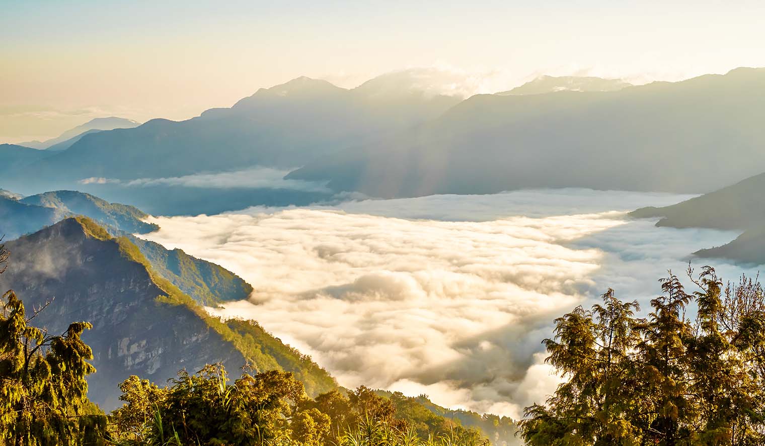 Sonnenaufgang über einem Meer aus Wolken in den Bergen von Alishan, Taiwan – ein atemberaubendes Naturschauspiel und Highlight bei Taiwan Reisen.