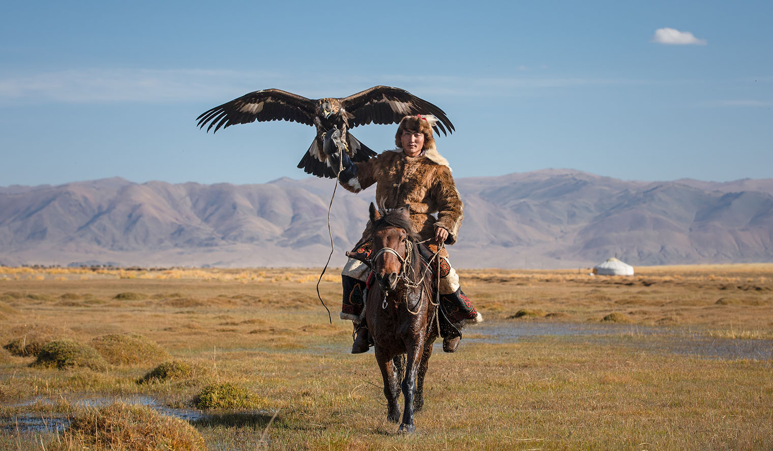 Nomaden auf Pferd mit Adler in Mongolei