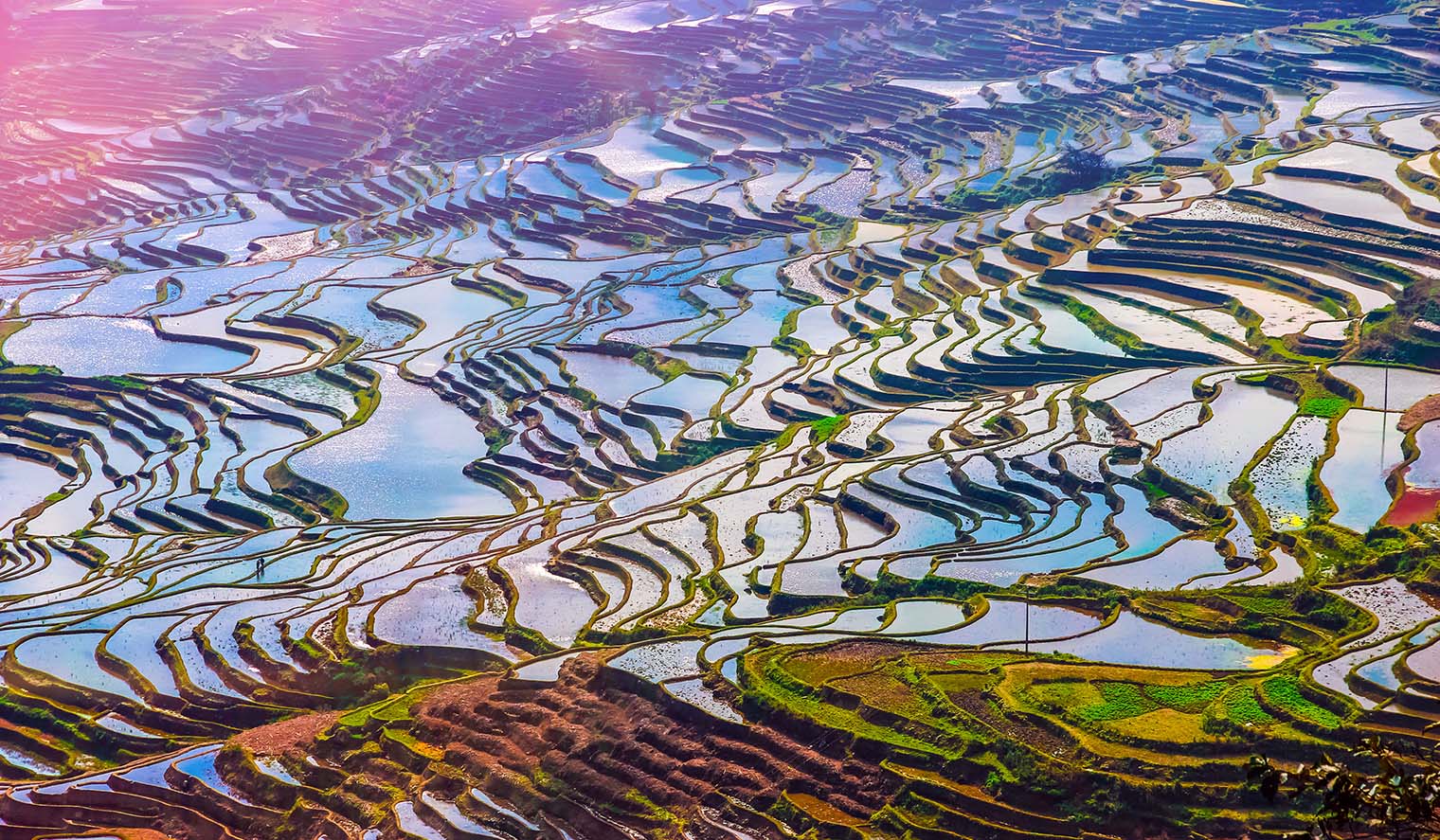 Yunnan Reisen zu den Reisfeldern