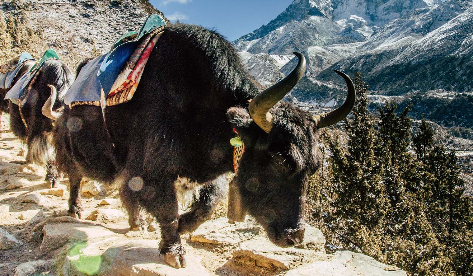 Trekkingtouren in Tibet