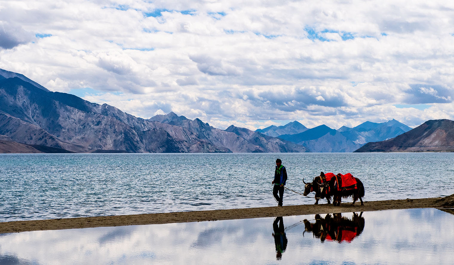 Yak Trekkings durch Tibet