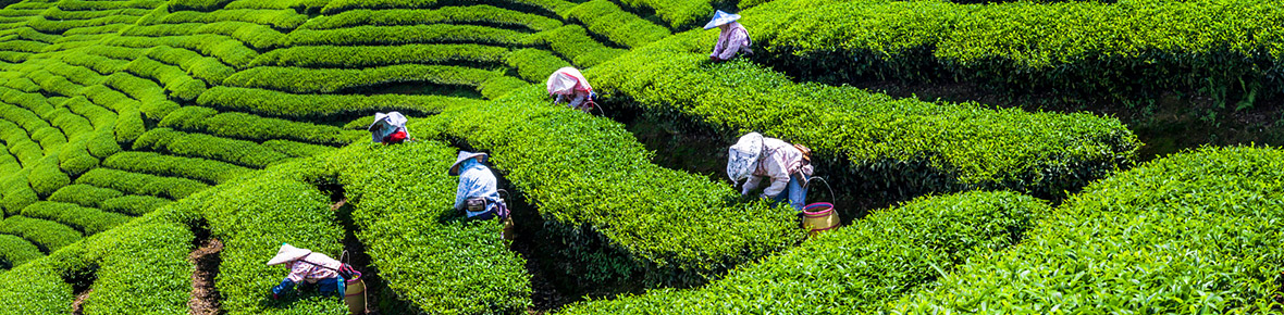 Taiwan Gruppenreisen